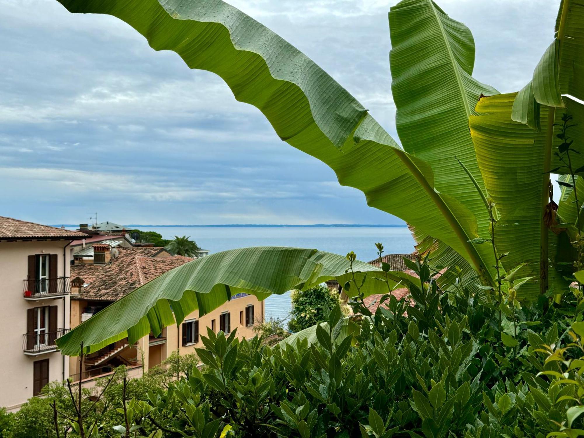 Casa Dolce Vita, Seeblick 토스콜라노마데노 외부 사진